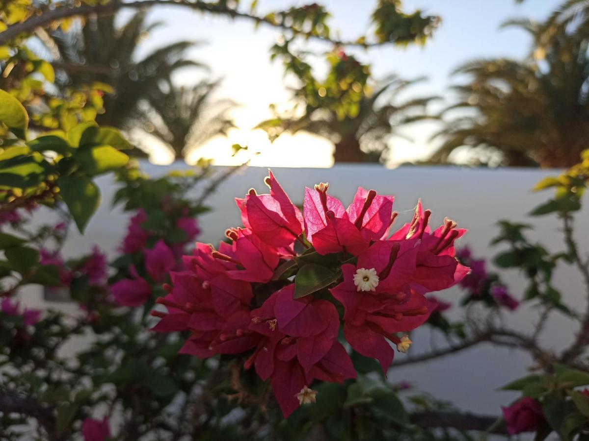 Casa Rosa Βίλα Puerto Calero Εξωτερικό φωτογραφία